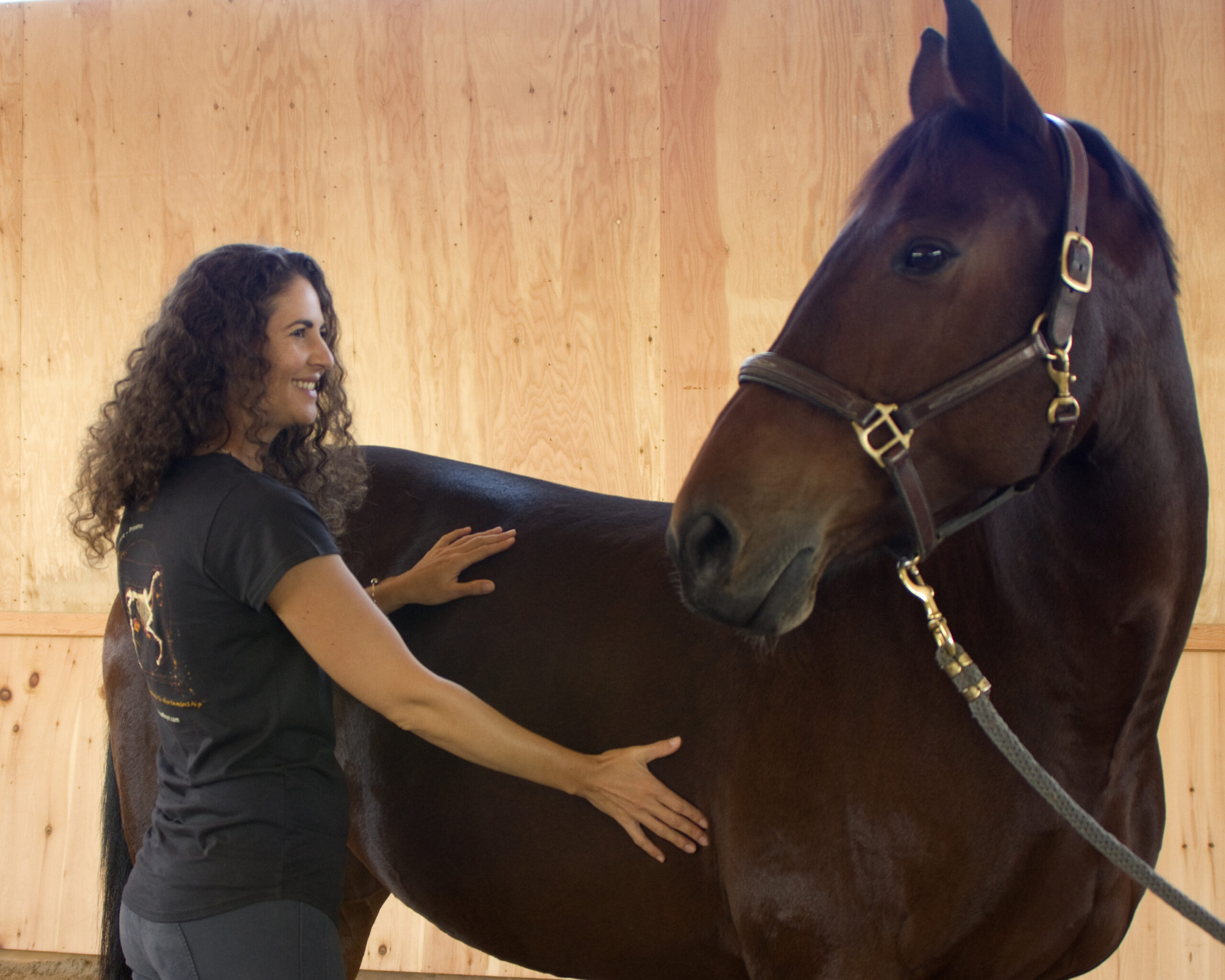 Relax your Horse’s Back with this Hands-on Exercise