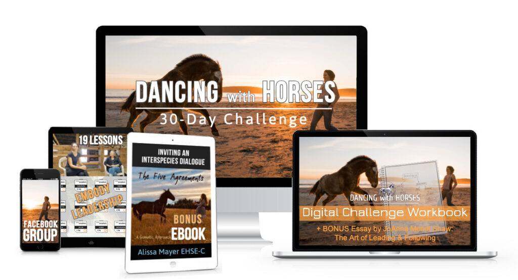 Dancing with Horses to improve confidence and body awareness