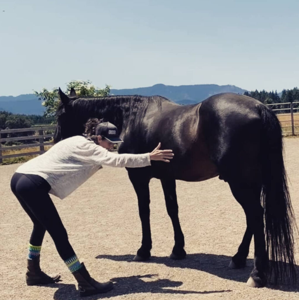 Dancing with horses, a new kind of liberty horsemanship!