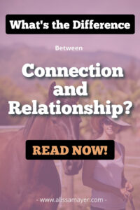 How to Bond with a Horse - Connection vs. Relationship
