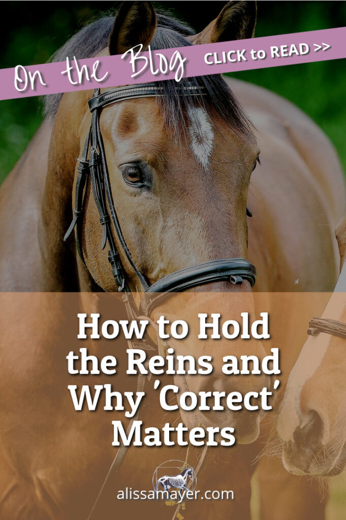 How to hold the reins when riding a horse