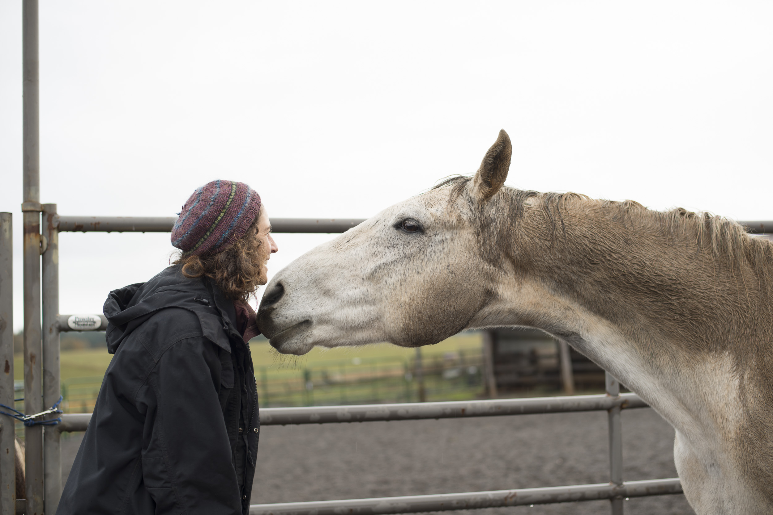#1 Exercise to Help a Barn Sour Horse