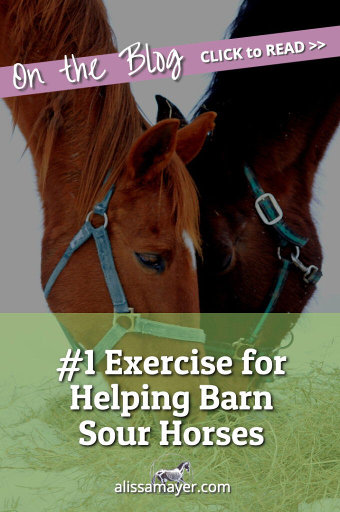 #1 Exercise for Helping Barn Sour Horses