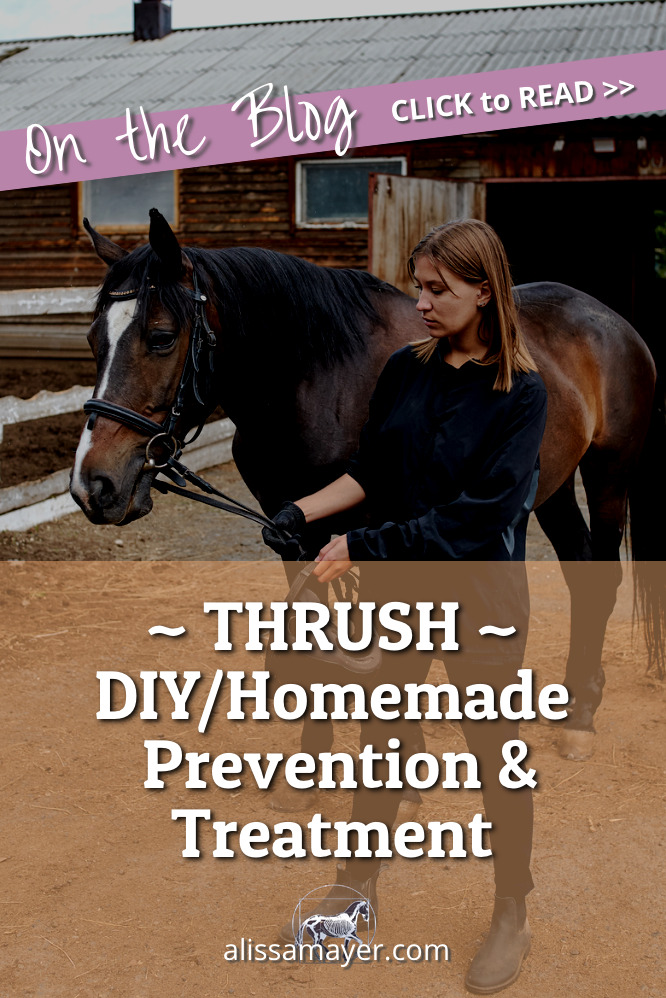 Homemade Thrush Treatment for Horses using essential oils