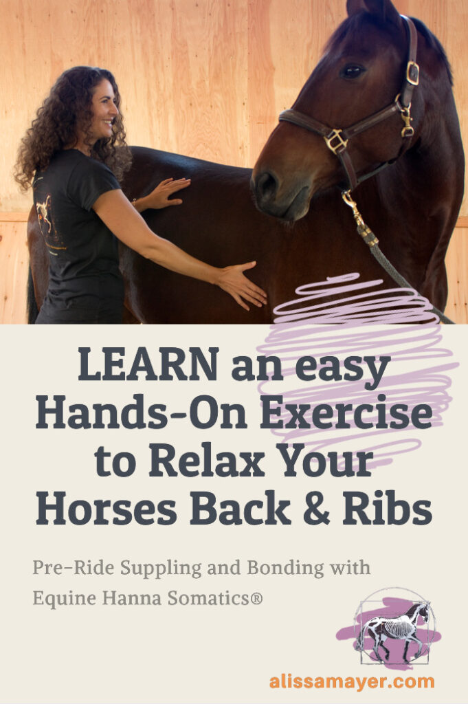Relax your horses back and ribs with Somatics by Alissa Mayer