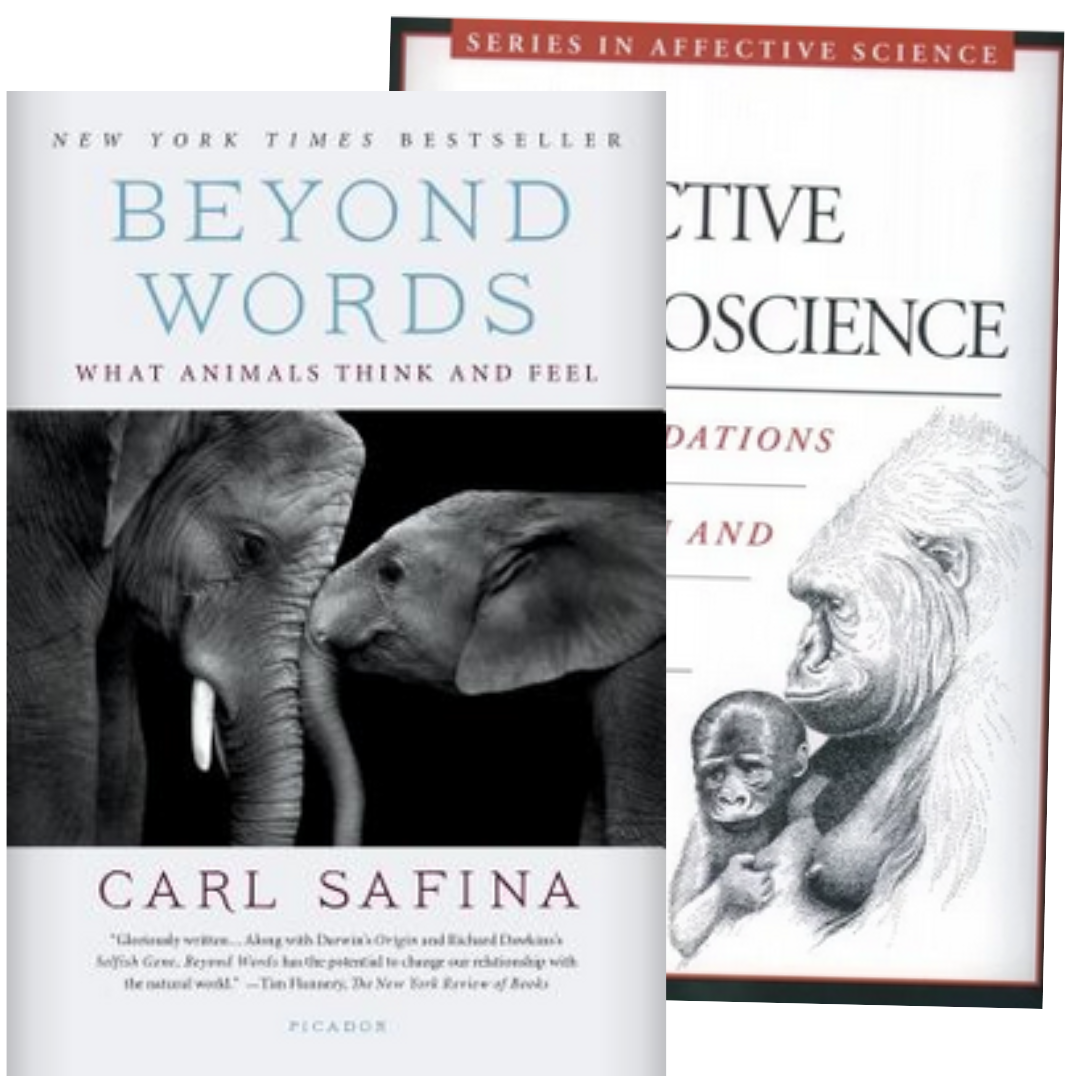 Beyond Words by Carl Safina and Affective Neuroscience by Jaak Panksepp are two of my recommended books, click here to go to my whole reading list